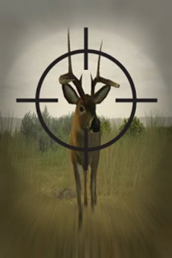 Deer Shooting Hunter截图4