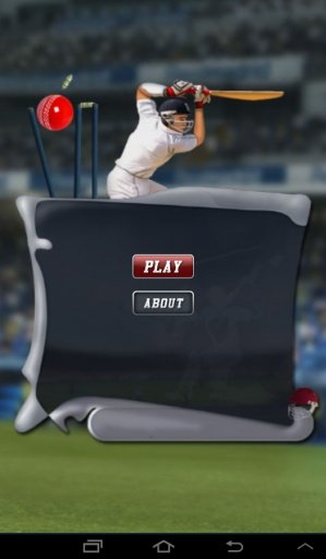 Cricket Game截图6