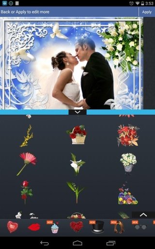 Wedding Photo Frame Pro Free截图1