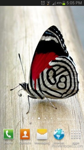 Butterfly HD Live Wallpaper截图7