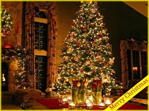 Christmas Tree 3D HD Wallpaper截图2