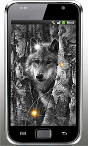 Wolf Free HQ live wallpaper截图4