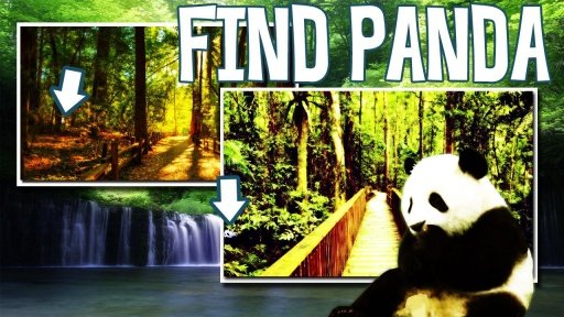 Find Panda截图3