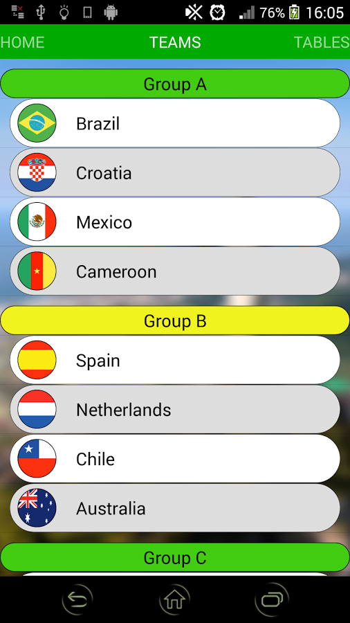 FIFA WC 2014截图9