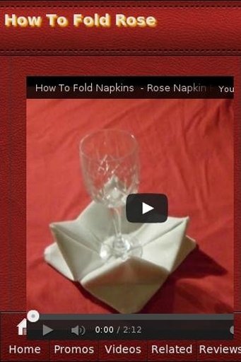 How To Fold Rose截图3