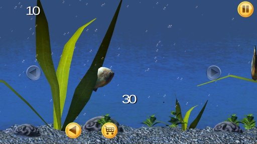 Piranha Aquarium 3D截图3