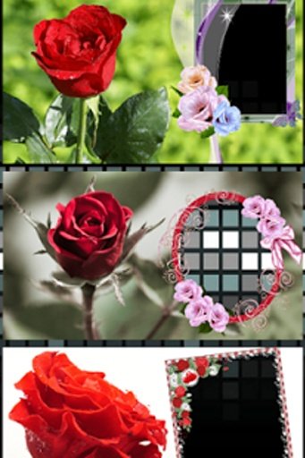 Red Roses Photo Frames截图6