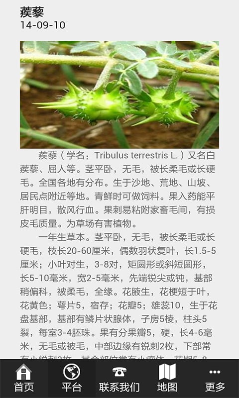 河南购物网截图3