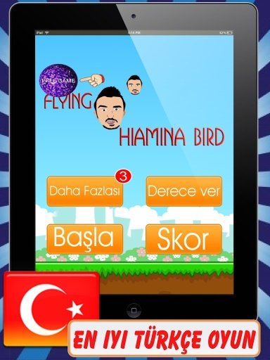 Flying Hıamına截图1