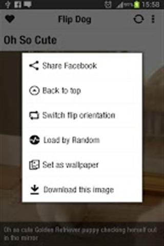 可爱的狗 FlipDog截图4