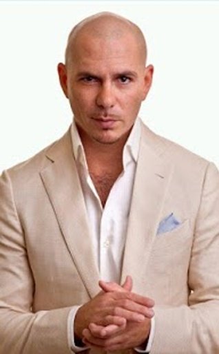 Pitbull Fans Puzzle截图6