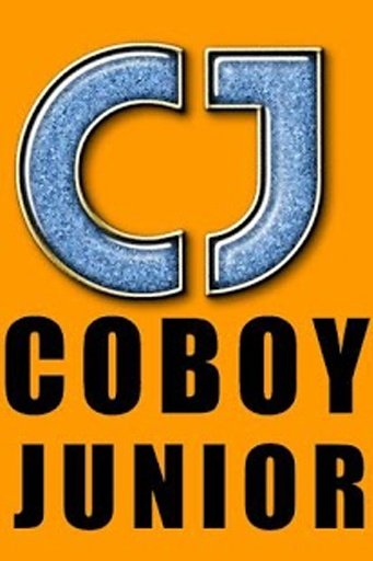 puzzle coboy junior截图3