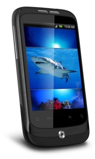 Tiger Shark 3D Live Wallpaper截图1