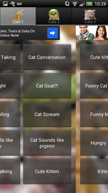 Funny Cat Sounds截图6