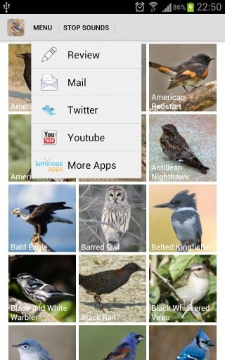 Florida Birds Sounds截图3