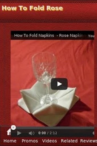 How To Fold Rose截图4