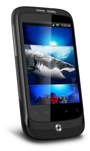 Hungry Shark HD Live Wallpaper截图1