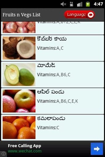 水果素食食谱截图2