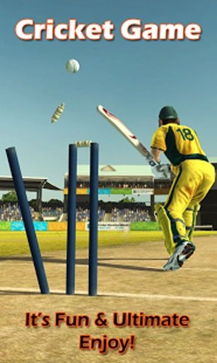 Cricket Game截图3