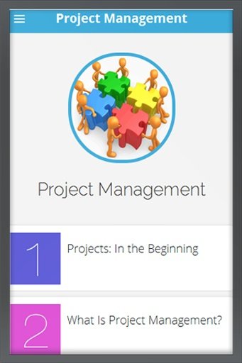 Microsoft Project 2013截图5