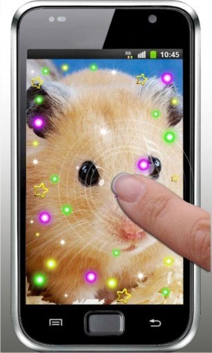 Hamster Pet live wallpaper截图3