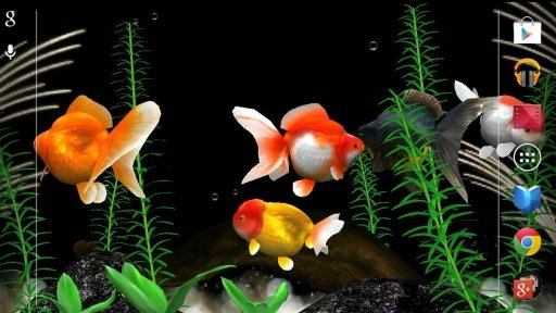 3D Live Fish Wallpaper截图2