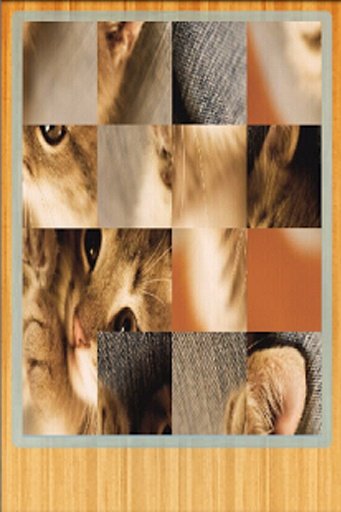 Funny Cats Puzzle &amp; Wallpapers截图3