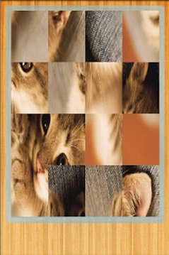 Funny Cats Puzzle &amp; Wallpapers截图