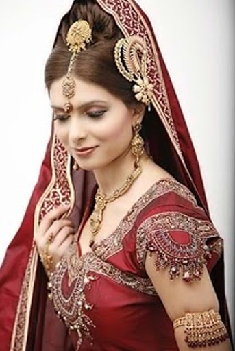 Indian Bridal Dresses截图3