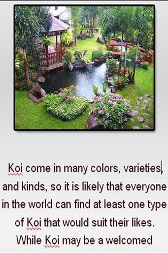 Koi pond截图1