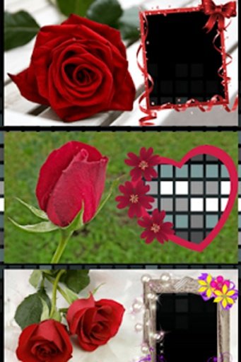Red Roses Photo Frames截图4