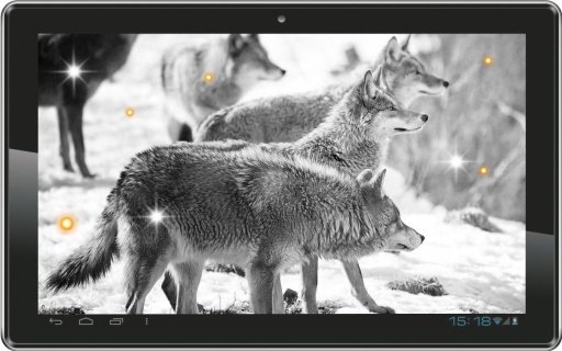 Wolf Free HQ live wallpaper截图6