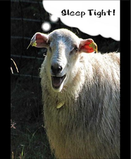 Sleep Aid Sheepy截图2