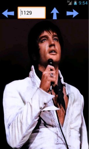 Elvis Presley HD Wallpapers截图3