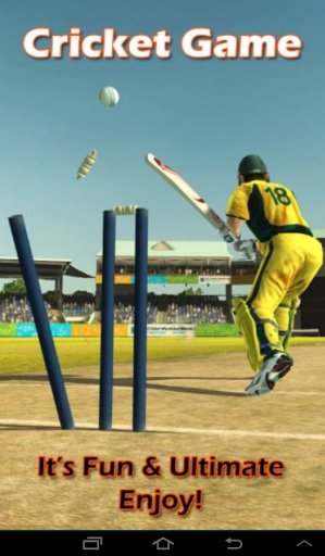 Cricket Game截图1