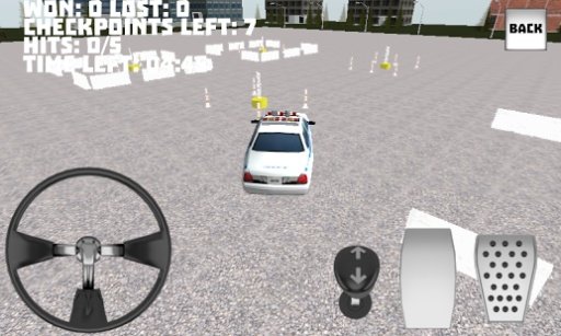 Precision Driving: Police Car截图1