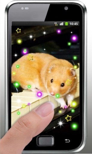 Hamster Pet live wallpaper截图2