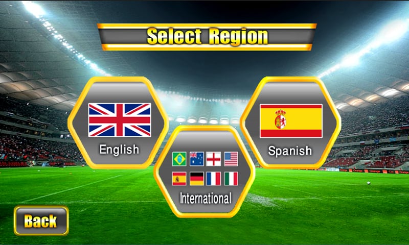 Soccer WorldCup 2014截图11