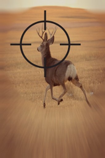 Deer Shooting Hunter截图5