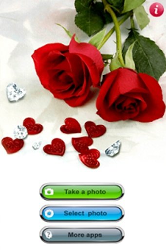 Red Roses Photo Frames截图1