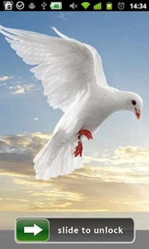 Peace Dove Lock Screen截图5