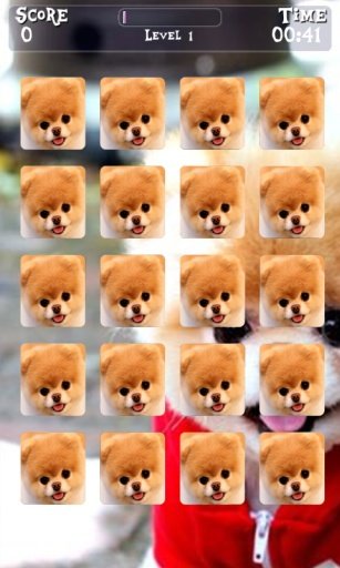 Boo Cute Dog Game截图4