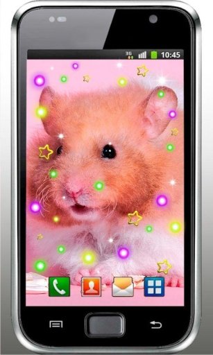 Hamster Pet live wallpaper截图4