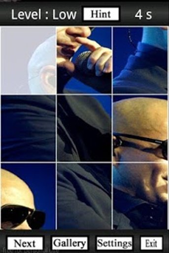 Pitbull Fans Puzzle截图4