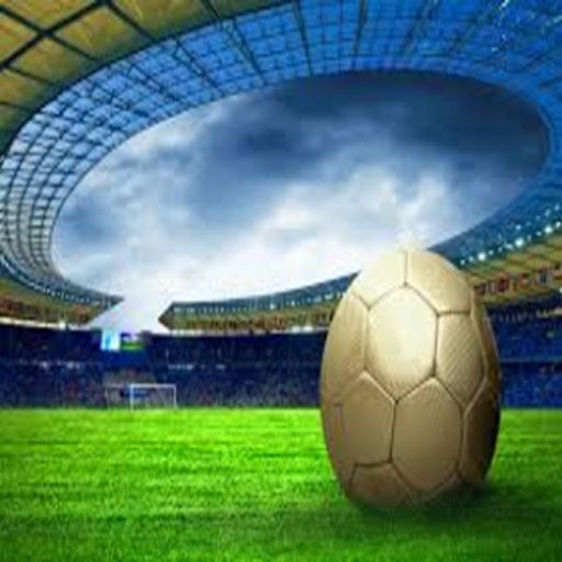 Fantastic Football Game截图2