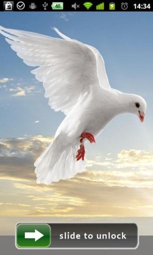 Peace Dove Lock Screen截图3