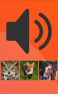 ANIMAL SOUND QUIZ GAME截图