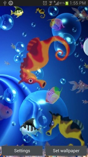 Koi Fish Live Wallpaper截图7