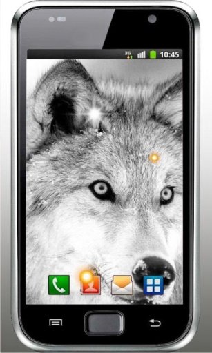 Wolf Free HQ live wallpaper截图5