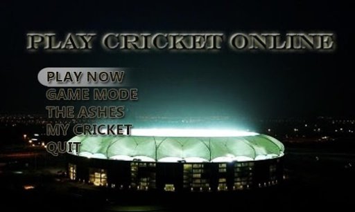 Play Cricket Online截图1